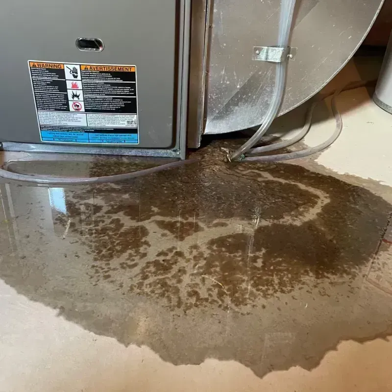 Appliance Leak Cleanup in South Jacksonville, IL